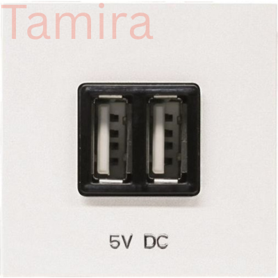 Zenit სერიის A ტიპის 2XUSB როზეტი, თეთრი 2CLA228500N1101